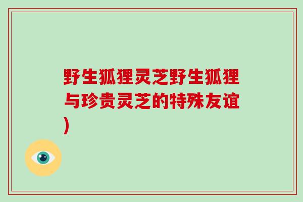 野生狐狸灵芝野生狐狸与珍贵灵芝的特殊友谊)