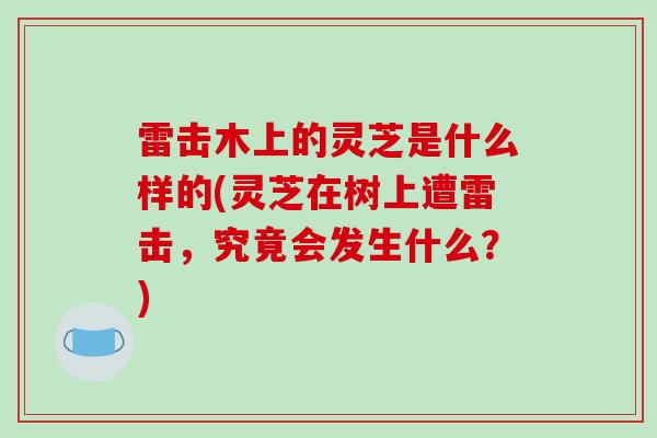 雷击木上的灵芝是什么样的(灵芝在树上遭雷击,究竟会发生什么?)