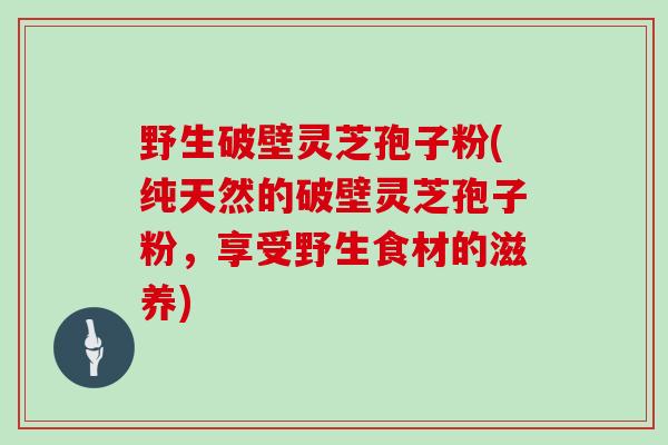 野生破壁灵芝孢子粉(纯天然的破壁灵芝孢子粉，享受野生食材的滋养)