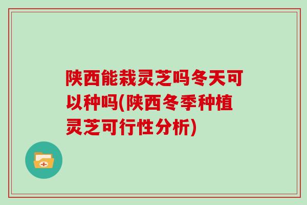 陕西能栽灵芝吗冬天可以种吗(陕西冬季种植灵芝可行性分析)