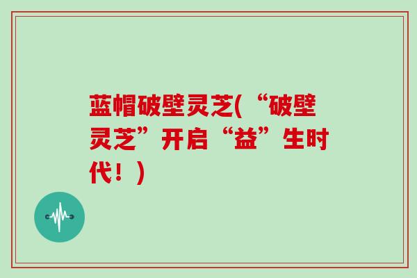 蓝帽破壁灵芝(“破壁灵芝”开启“益”生时代!)