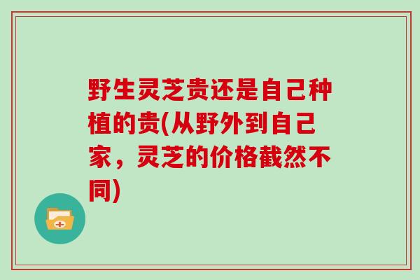 野生灵芝贵还是自己种植的贵(从野外到自己家，灵芝的价格截然不同)