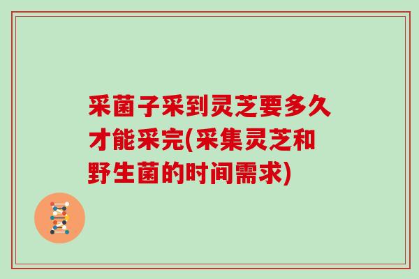 采菌子采到灵芝要多久才能采完(采集灵芝和野生菌的时间需求)