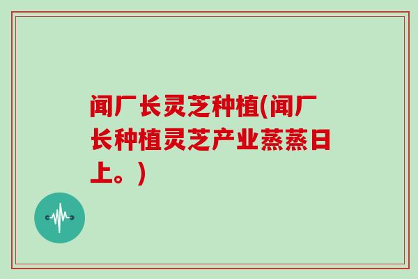 闻厂长灵芝种植(闻厂长种植灵芝产业蒸蒸日上。)