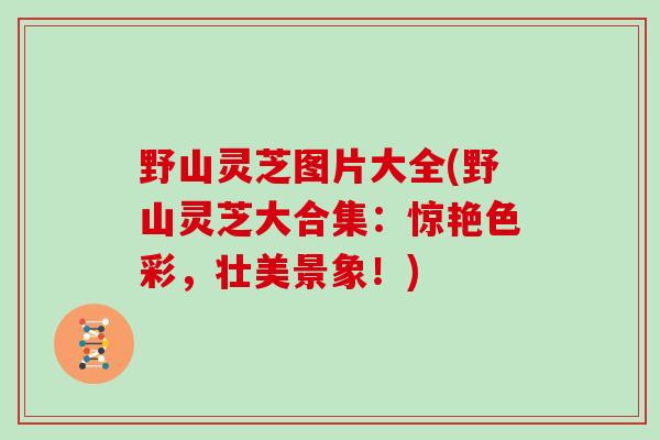 野山灵芝图片大全(野山灵芝大合集:惊艳色彩,壮美景象!)