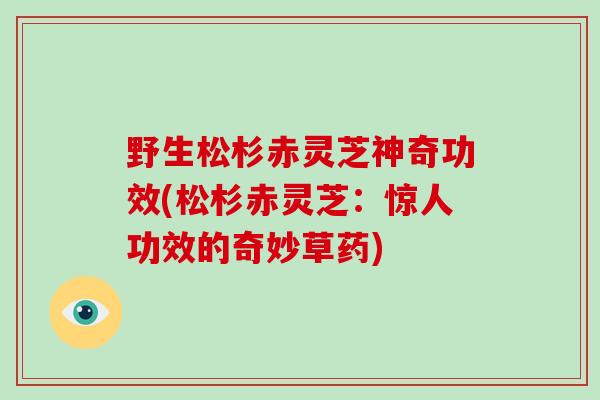 野生松杉赤灵芝神奇功效(松杉赤灵芝:惊人功效的奇妙草药)