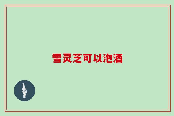 雪灵芝可以泡酒