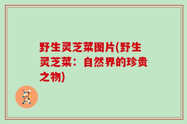 野生灵芝菜图片(野生灵芝菜:自然界的珍贵之物)