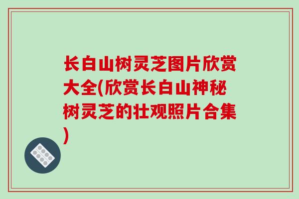 长白山树灵芝图片欣赏大全(欣赏长白山神秘树灵芝的壮观照片合集)
