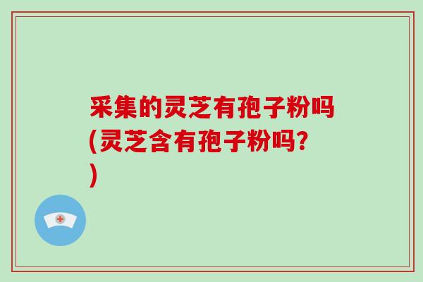 采集的灵芝有孢子粉吗(灵芝含有孢子粉吗？)