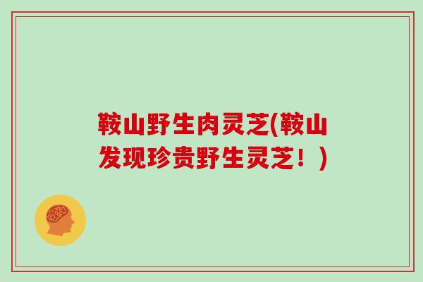 鞍山野生肉灵芝(鞍山发现珍贵野生灵芝!)