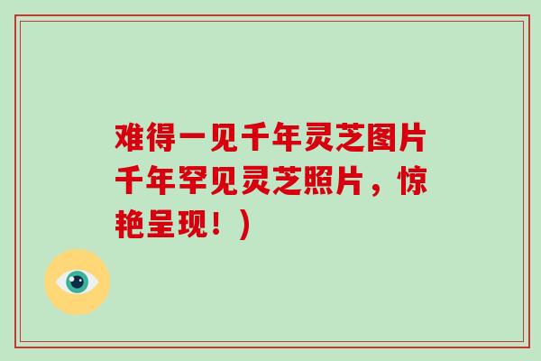难得一见千年灵芝图片千年罕见灵芝照片，惊艳呈现！)