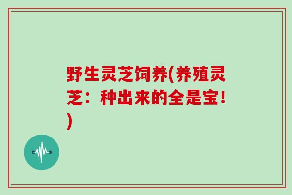 野生灵芝饲养(养殖灵芝:种出来的全是宝!)