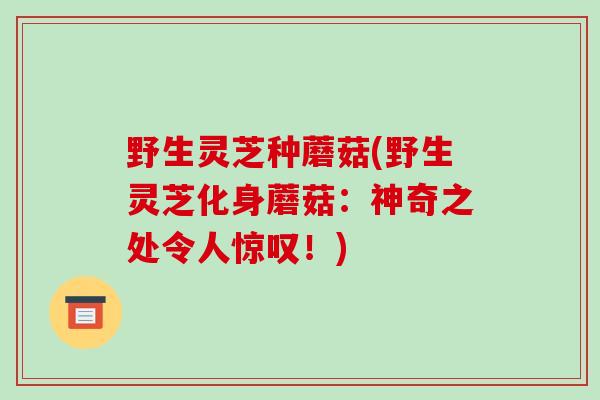 野生灵芝种蘑菇(野生灵芝化身蘑菇：神奇之处令人惊叹！)