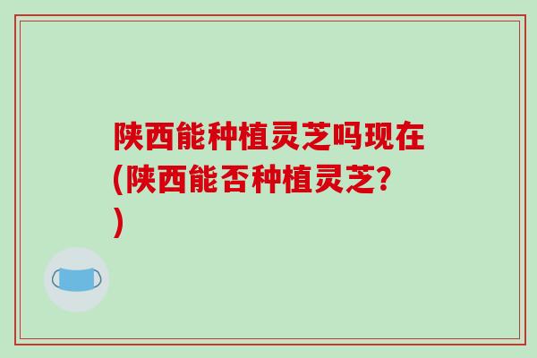 陕西能种植灵芝吗现在(陕西能否种植灵芝?)