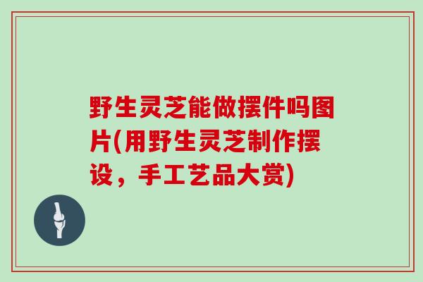 野生灵芝能做摆件吗图片(用野生灵芝制作摆设,手工艺品大赏)