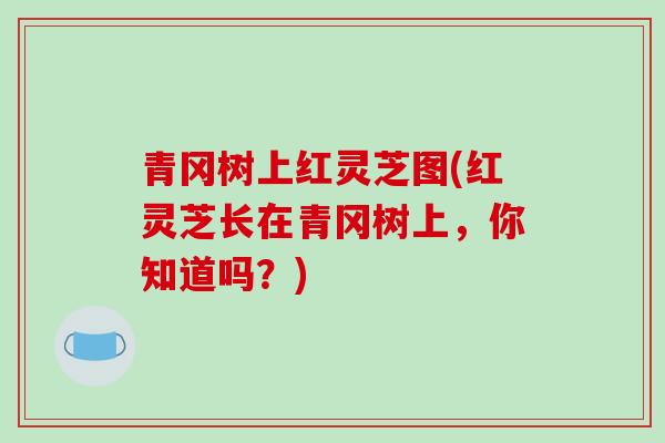 青冈树上红灵芝图(红灵芝长在青冈树上，你知道吗？)