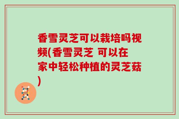香雪灵芝可以栽培吗视频(香雪灵芝 可以在家中轻松种植的灵芝菇)