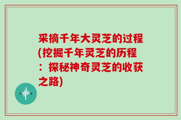 采摘千年大灵芝的过程(挖掘千年灵芝的历程:探秘神奇灵芝的收获之路)
