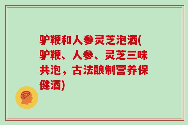 驴鞭和人参灵芝泡酒(驴鞭、人参、灵芝三味共泡,古法酿制营养保健酒)