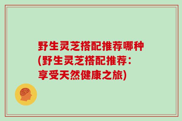 野生灵芝搭配推荐哪种(野生灵芝搭配推荐：享受天然健康之旅)