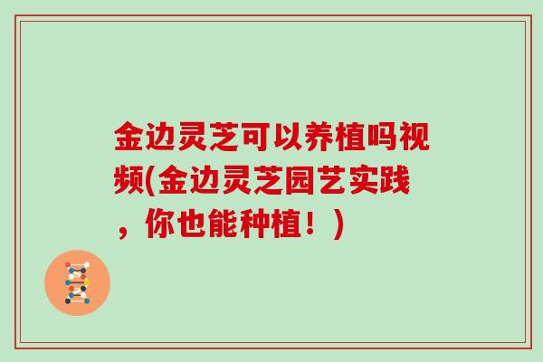 金边灵芝可以养植吗视频(金边灵芝园艺实践,你也能种植!)