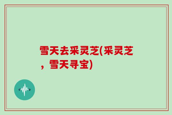雪天去采灵芝(采灵芝,雪天寻宝)