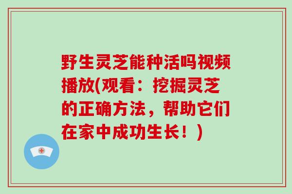 野生灵芝能种活吗视频播放(观看:挖掘灵芝的正确方法,帮助它们在家中成功生长!)