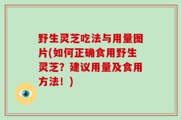 野生灵芝吃法与用量图片(如何正确食用野生灵芝?建议用量及食用方法!)