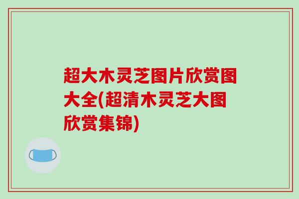 超大木灵芝图片欣赏图大全(超清木灵芝大图欣赏集锦)