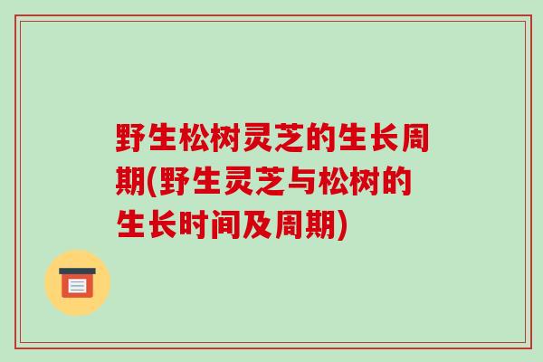野生松树灵芝的生长周期(野生灵芝与松树的生长时间及周期)