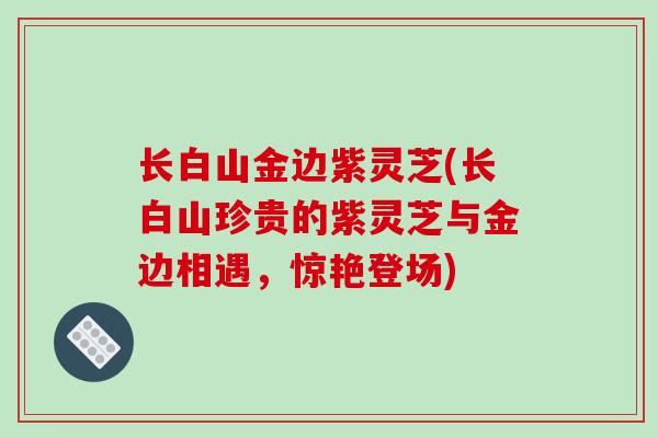 长白山金边紫灵芝(长白山珍贵的紫灵芝与金边相遇,惊艳登场)