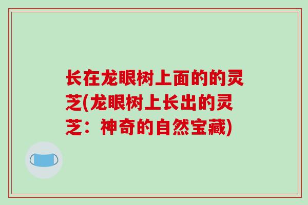 长在龙眼树上面的的灵芝(龙眼树上长出的灵芝:神奇的自然宝藏)