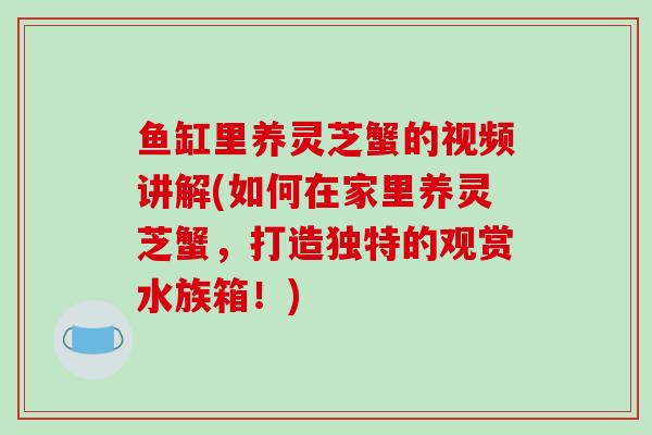 鱼缸里养灵芝蟹的视频讲解(如何在家里养灵芝蟹，打造独特的观赏水族箱！)