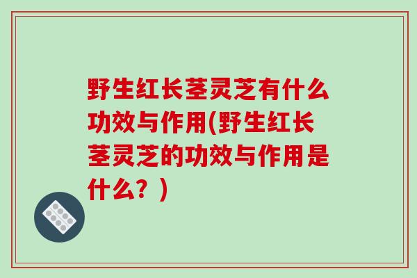 野生红长茎灵芝有什么功效与作用(野生红长茎灵芝的功效与作用是什么?)
