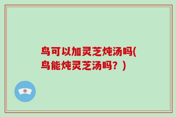 鸟可以加灵芝炖汤吗(鸟能炖灵芝汤吗？)