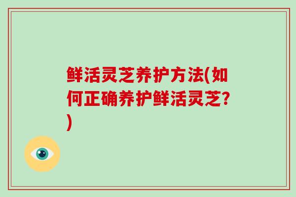 鲜活灵芝养护方法(如何正确养护鲜活灵芝?)