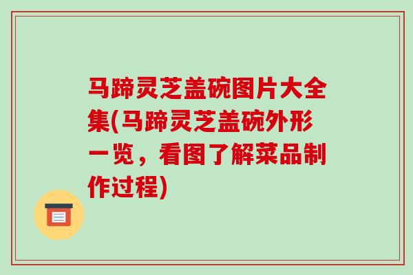 马蹄灵芝盖碗图片大全集(马蹄灵芝盖碗外形一览,看图了解菜品制作过程)