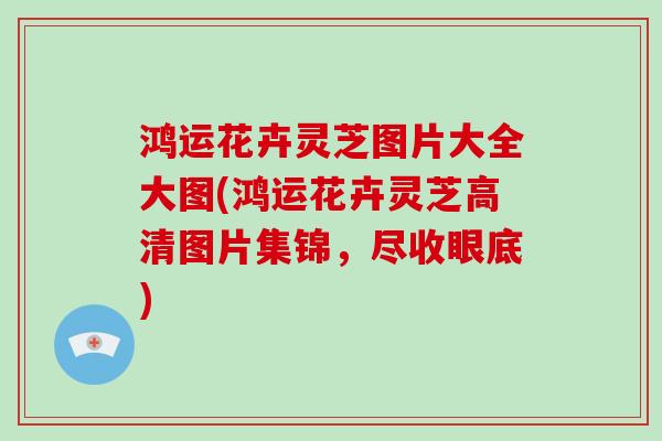 鸿运花卉灵芝图片大全大图(鸿运花卉灵芝高清图片集锦,尽收眼底)