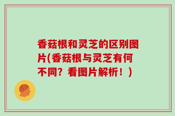 香菇根和灵芝的区别图片(香菇根与灵芝有何不同?看图片解析!)