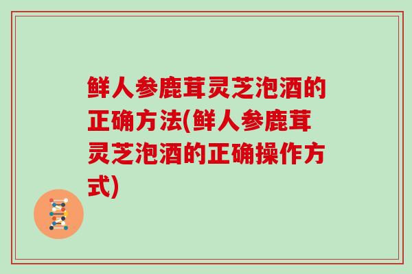 鲜人参鹿茸灵芝泡酒的正确方法(鲜人参鹿茸灵芝泡酒的正确操作方式)