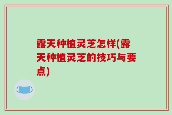 露天种植灵芝怎样(露天种植灵芝的技巧与要点)