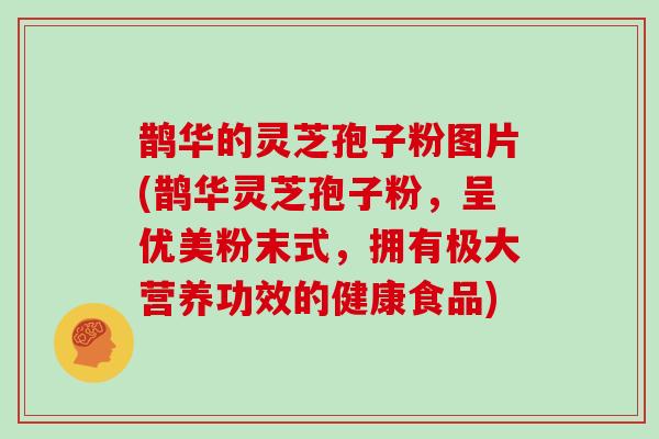 鹊华的灵芝孢子粉图片(鹊华灵芝孢子粉，呈优美粉末式，拥有极大营养功效的健康食品)