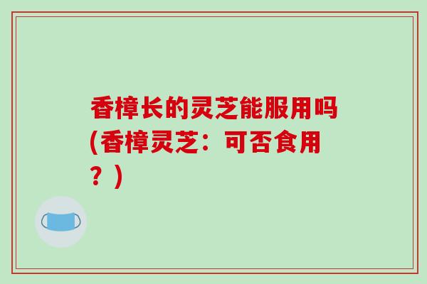 香樟长的灵芝能服用吗(香樟灵芝:可否食用?)