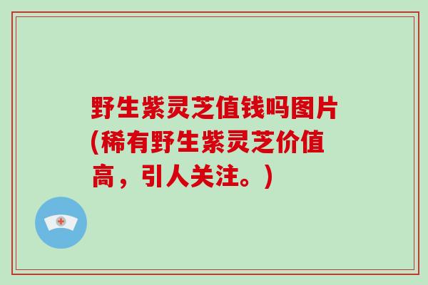 野生紫灵芝值钱吗图片(稀有野生紫灵芝价值高，引人关注。)