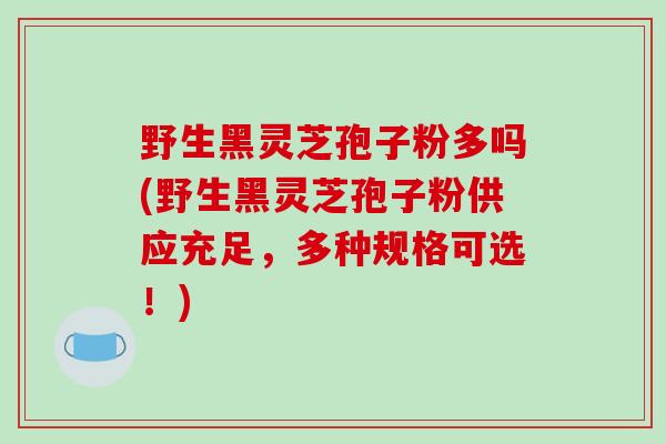 野生黑灵芝孢子粉多吗(野生黑灵芝孢子粉供应充足,多种规格可选!)