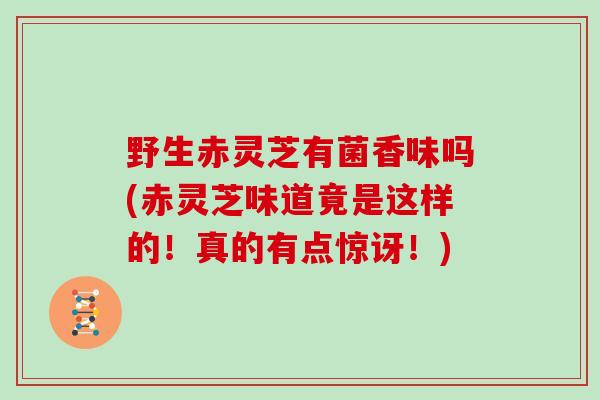野生赤灵芝有菌香味吗(赤灵芝味道竟是这样的!真的有点惊讶!)
