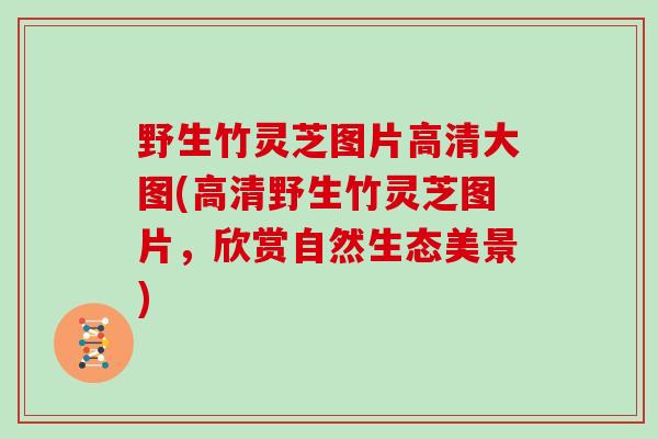 野生竹灵芝图片高清大图(高清野生竹灵芝图片，欣赏自然生态美景)