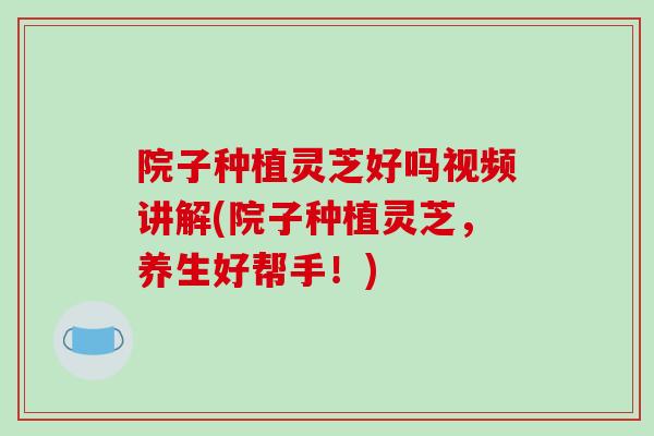 院子种植灵芝好吗视频讲解(院子种植灵芝,养生好帮手!)