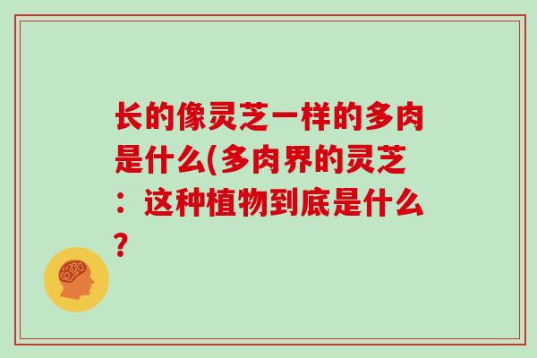 长的像灵芝一样的多肉是什么(多肉界的灵芝:这种植物到底是什么?
